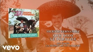 Vicente Fernández  Que Dios Te Perdone Cover Audio [upl. by Annahgiel]