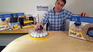 Brinsea Maxi II Eco Egg Incubator and Hatcher [upl. by Shirline]