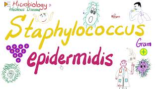 Staphylococcus epidermidis  Microbiology 🧫 amp Infectious Diseases 🦠 [upl. by Mccurdy]