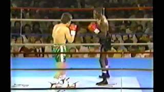 Julio Cesar Chavez  Roger Mayweather I 11 [upl. by Stedmann]