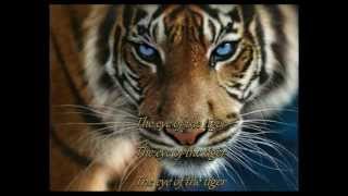 Survivor Eye of the Tiger 1982 HD With Lyrics [upl. by Adair]