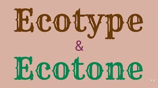 Ecotype amp Ecotone [upl. by Ellyn]