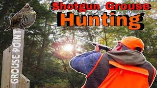 October Grouse Hunting  Timmins Ontario [upl. by Emlin282]