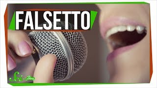 How Do You Sing in Falsetto [upl. by Oriole]