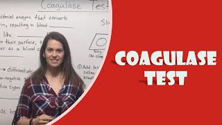 Coagulase Test [upl. by Terraj137]