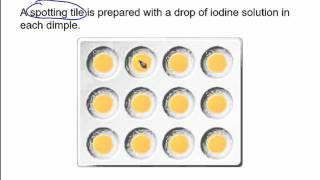 The starch amp amylase experiment [upl. by Eastman]