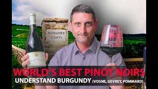 Finest Burgundy Wines  Your Guide to Top Pinot Noirs  VosneRomanée Pommard GevreyChambertin [upl. by Sima]